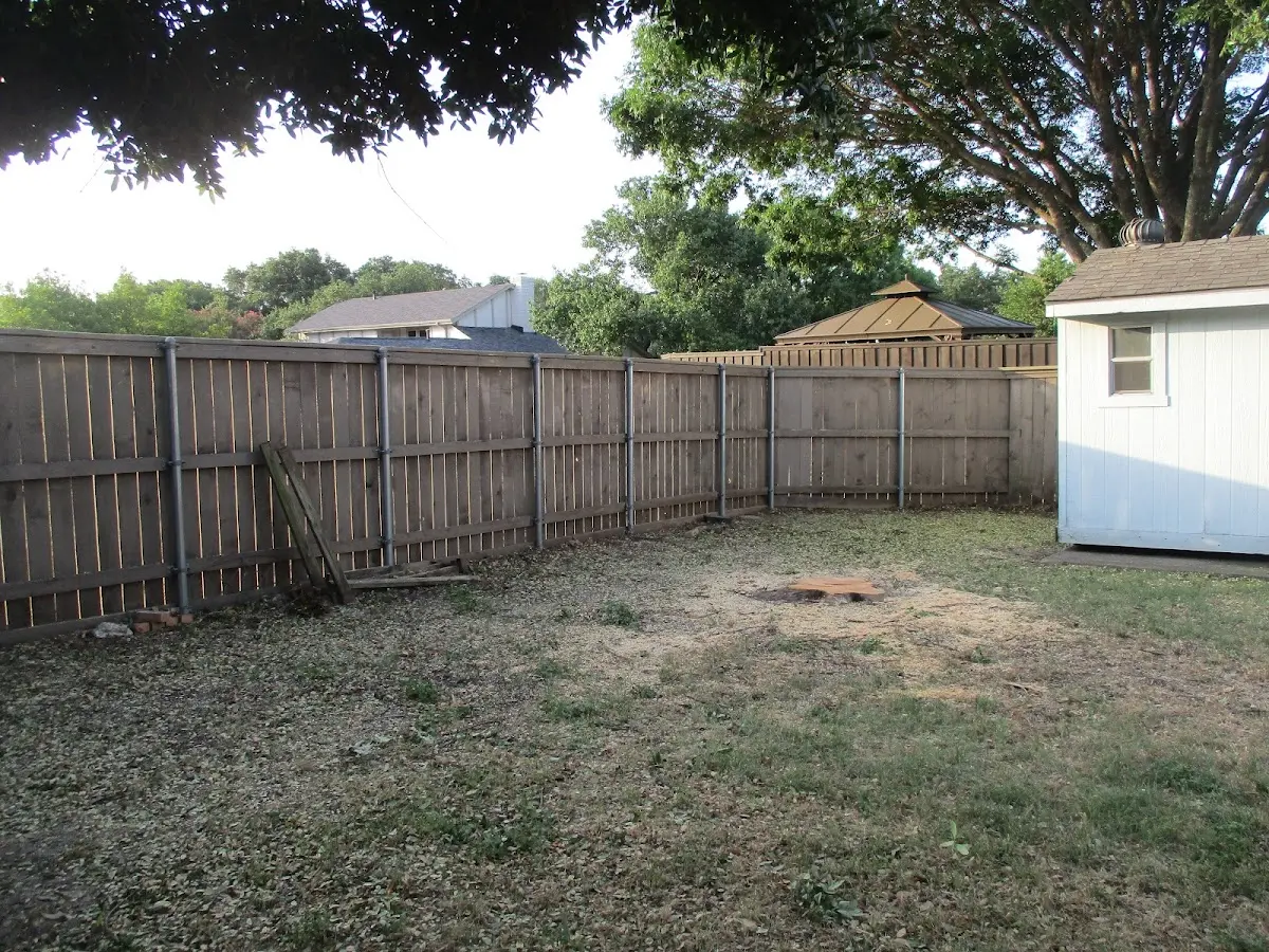 Cleared yard after professional tree removal in Tucson