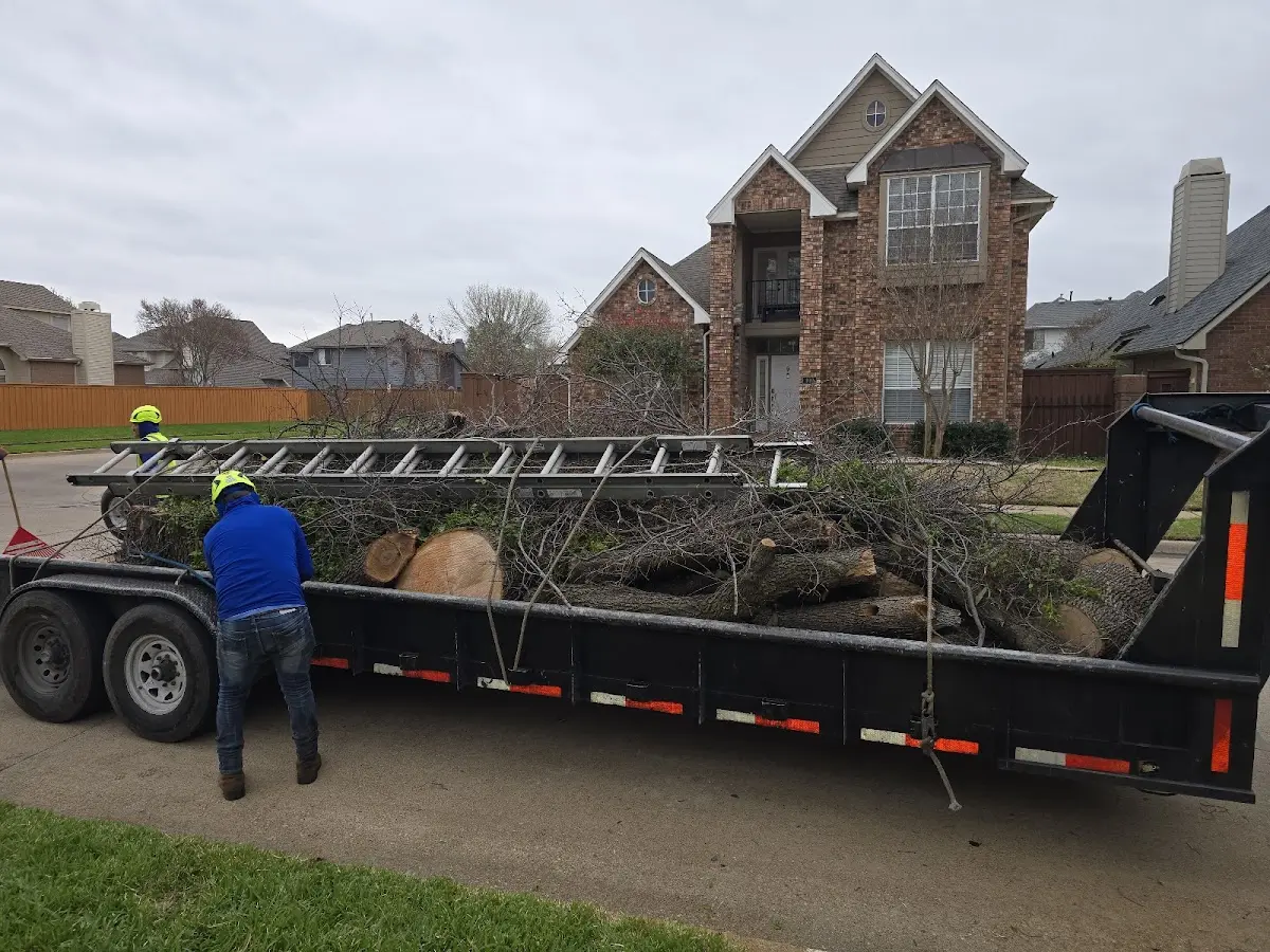 Expert Lot Clearing with proper safety equipment in Tucson